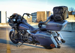 Photo showing Rover on Blue Harley Davidson Trunk